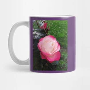 Red and white rose photo Mug